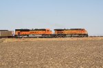 BNSF 5685 & 9067